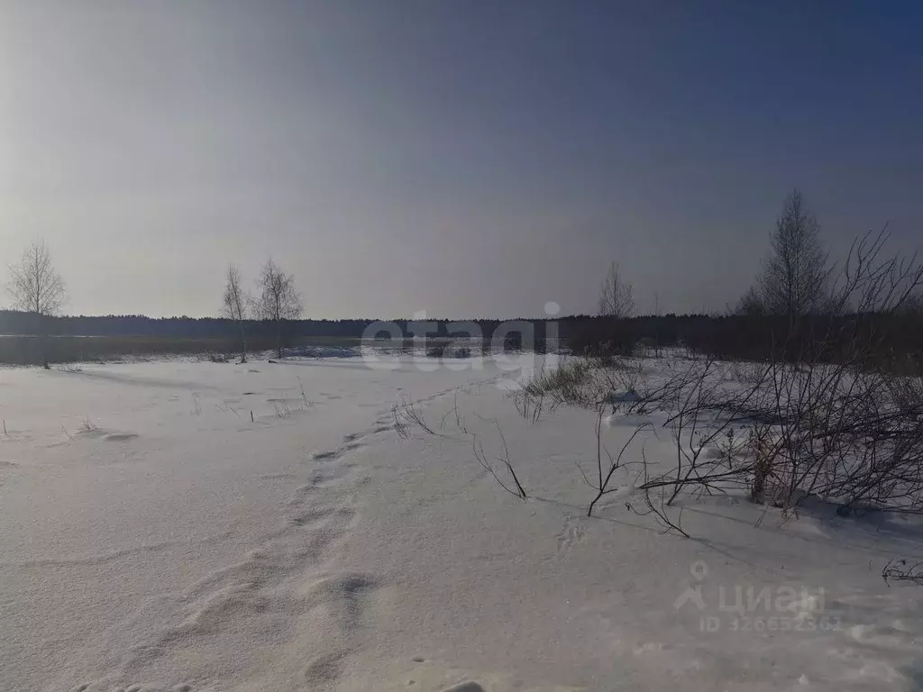 Участок в Курганская область, Курган Мостовик СНТ, ул. 14-я (5.0 сот.) - Фото 1