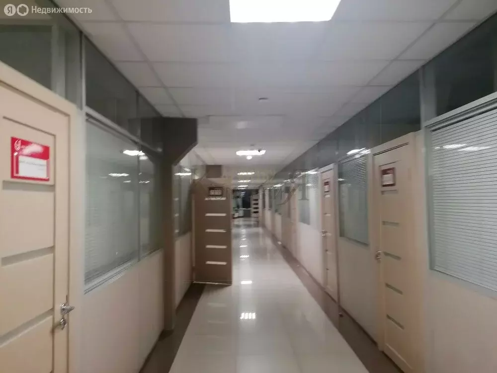 Офис (54.3 м) - Фото 2