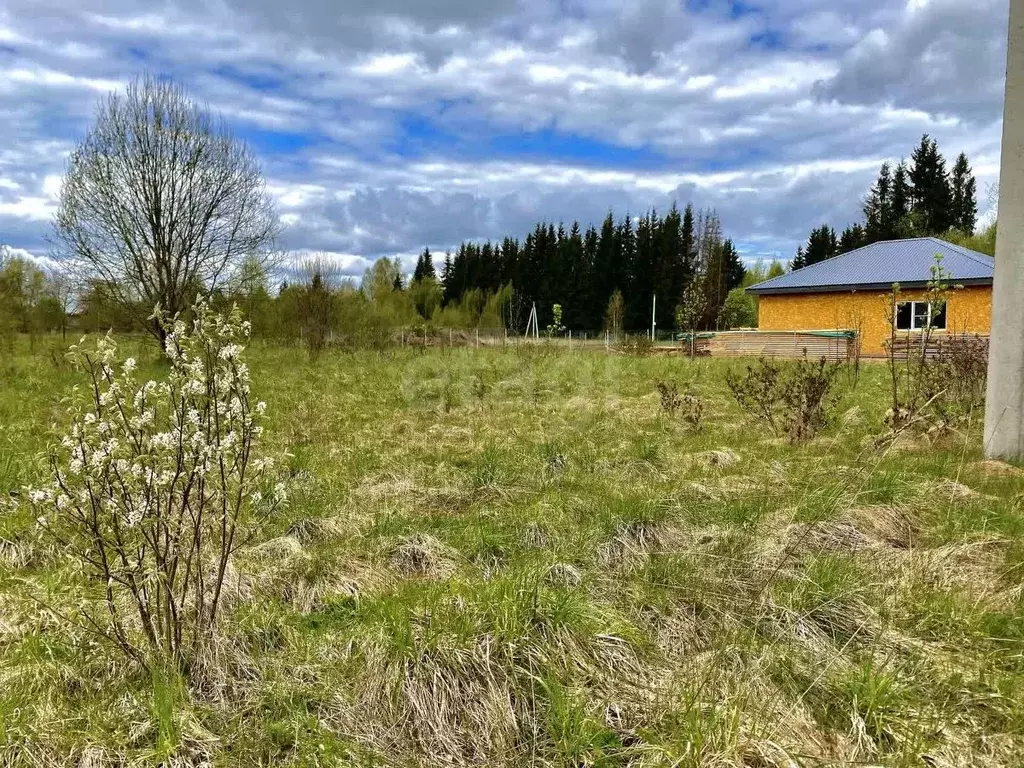 Участок в Псковская область, Печоры пл. Победы (15.0 сот.) - Фото 1