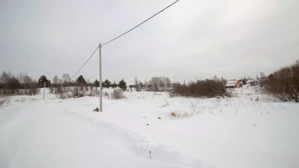 Участок в Томская область, Томский район, с. Корнилово ул. Ясная (7.9 ... - Фото 1