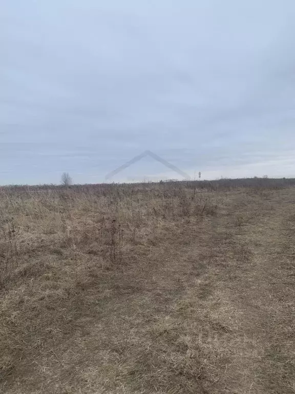 Участок в Калужская область, Перемышльский район, Большие Козлы с/пос, ... - Фото 2