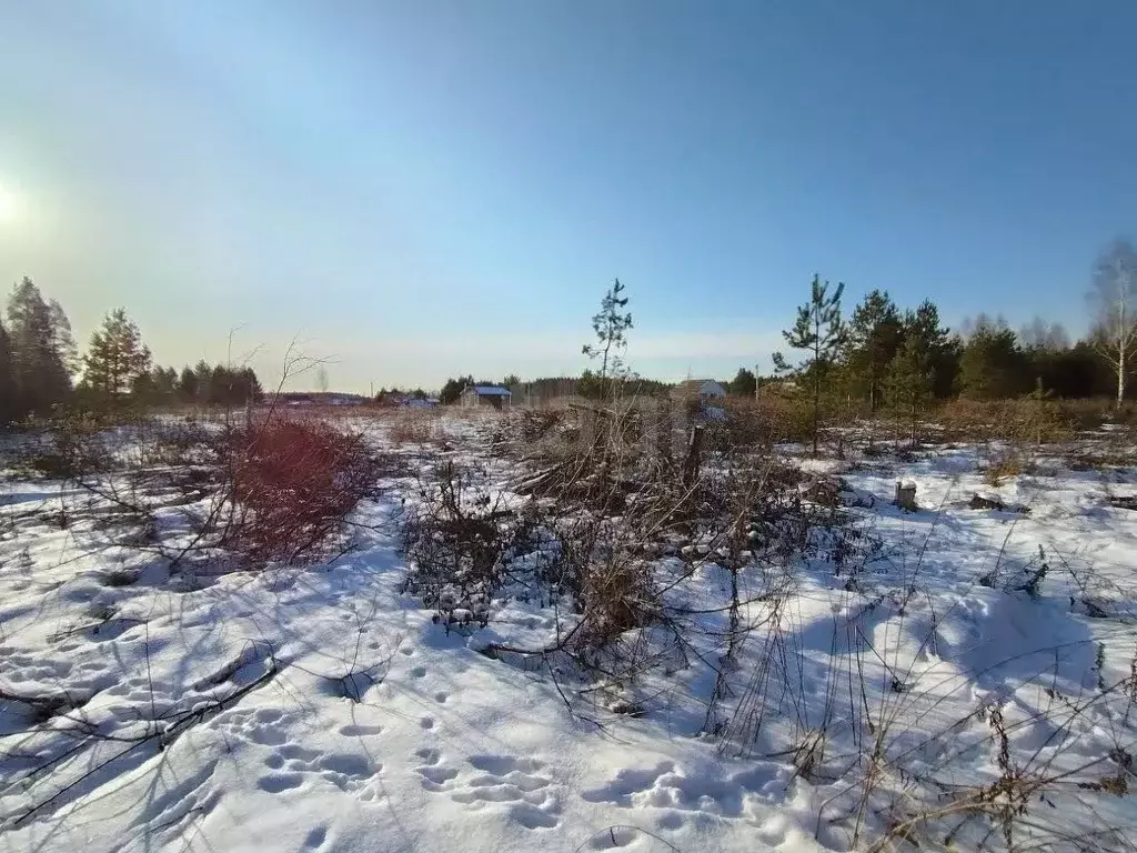 Участок в Владимирская область, Ковровский муниципальный округ, ... - Фото 2