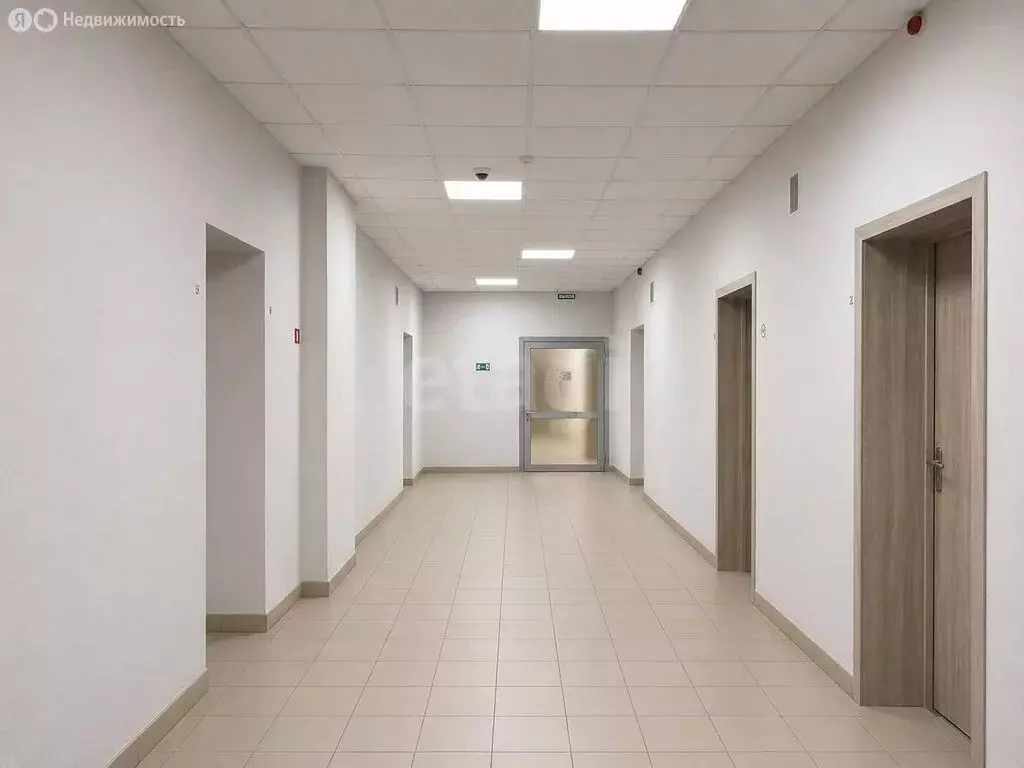 Помещение свободного назначения (309 м) - Фото 1
