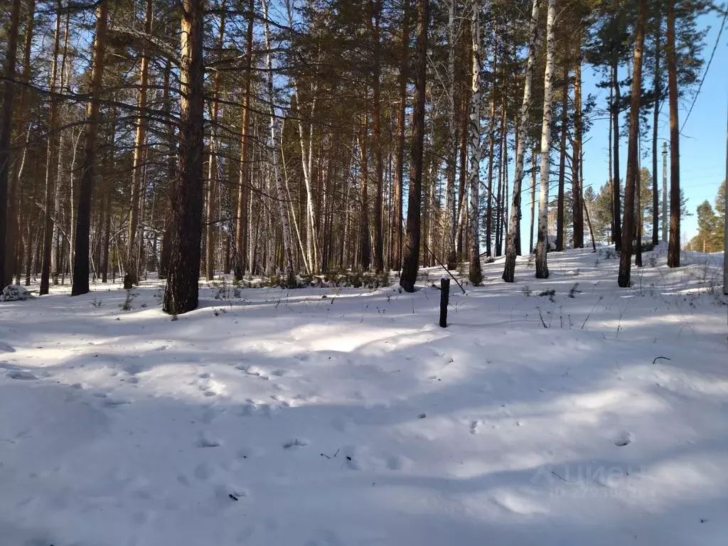 Участок в Иркутская область, Иркутский муниципальный округ, Маркова ... - Фото 2