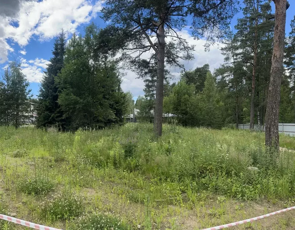 Участок в Ленинградская область, Всеволожск просп. Некрасова (9.3 ... - Фото 2