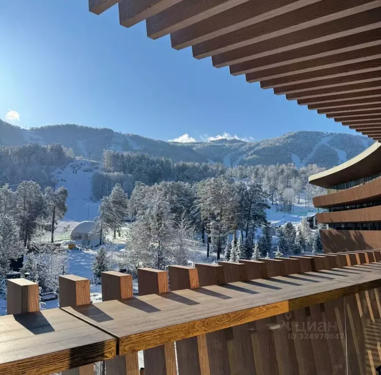 1-к кв. Алтай, Майминский район, Манжерокское с/пос, с. Озерное, ... - Фото 2