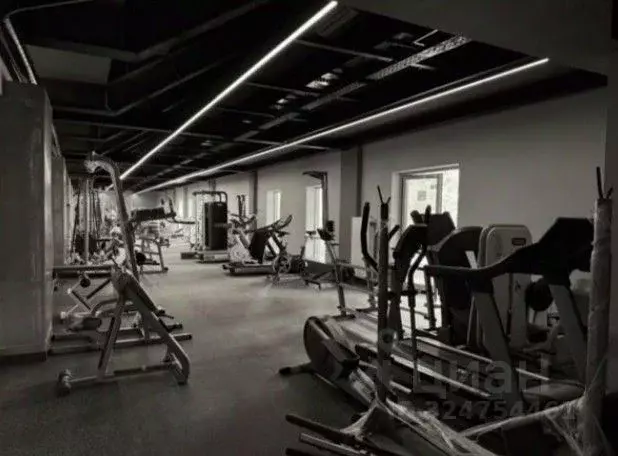 Помещение свободного назначения в Санкт-Петербург Вязовая ул., 10 (341 ... - Фото 1