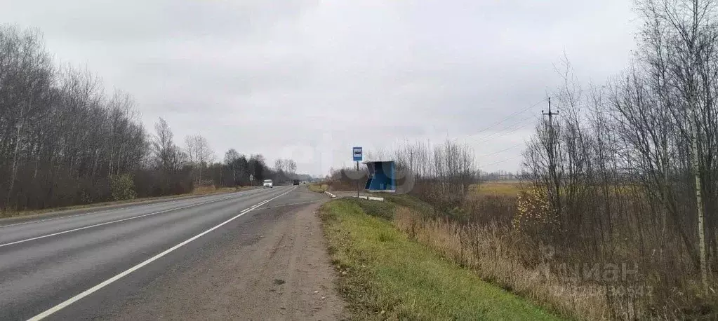 Участок в Ярославская область, Ярославский муниципальный округ, На ... - Фото 1