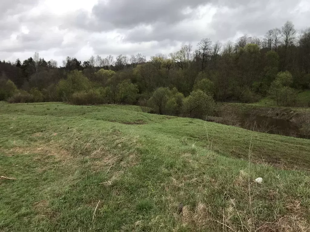 Участок в Калужская область, Юхновский муниципальный округ, ... - Фото 1
