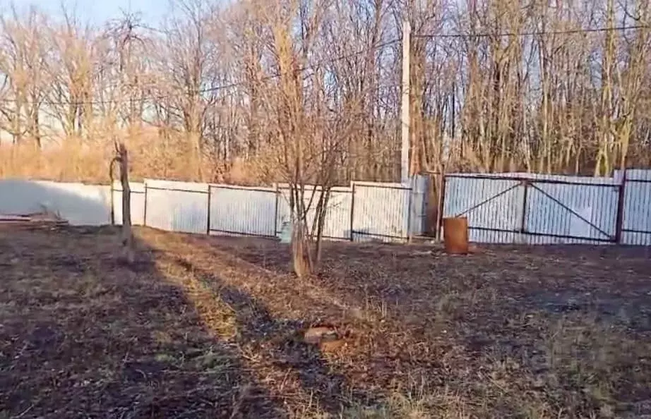 Участок в Самарская область, Красноярский район, Новосемейкино ... - Фото 1