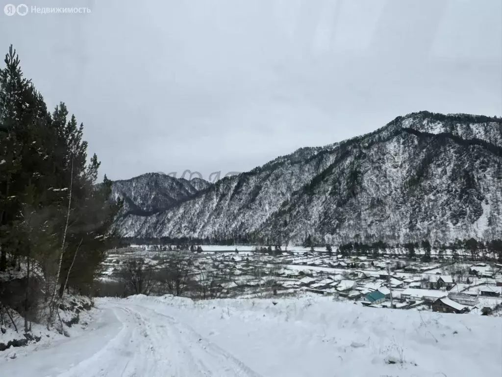 Дом в Чемальский район, село Чепош (21.5 м) - Фото 1
