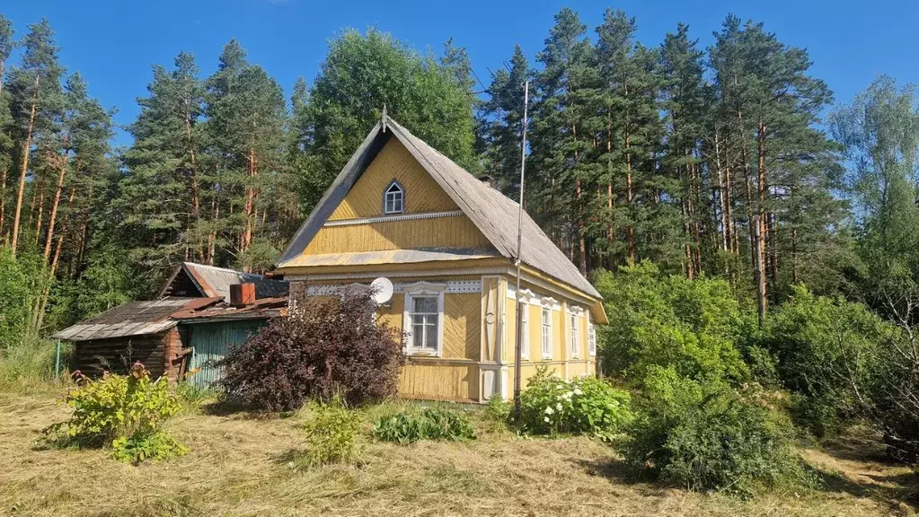 Дом в Тверская область, Западнодвинский район, пос. Рясно  (35 м) - Фото 1