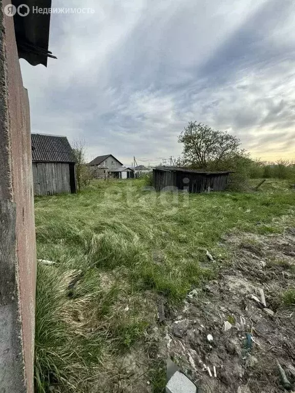 Участок в Калининградская область, Гурьевский муниципальный округ, ... - Фото 1