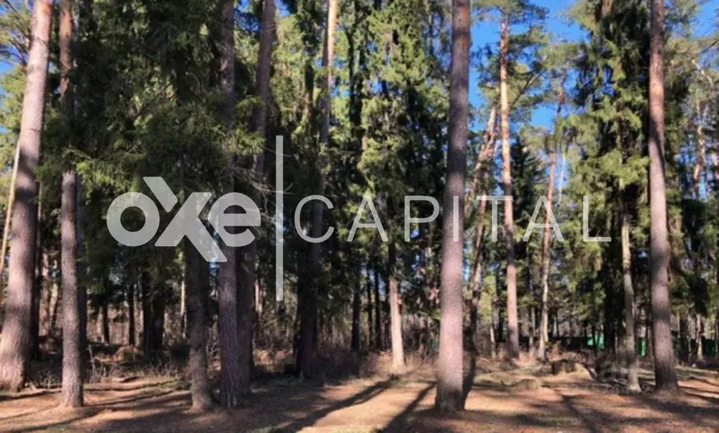 Участок в Московская область, Одинцовский городской округ, пос. ... - Фото 2