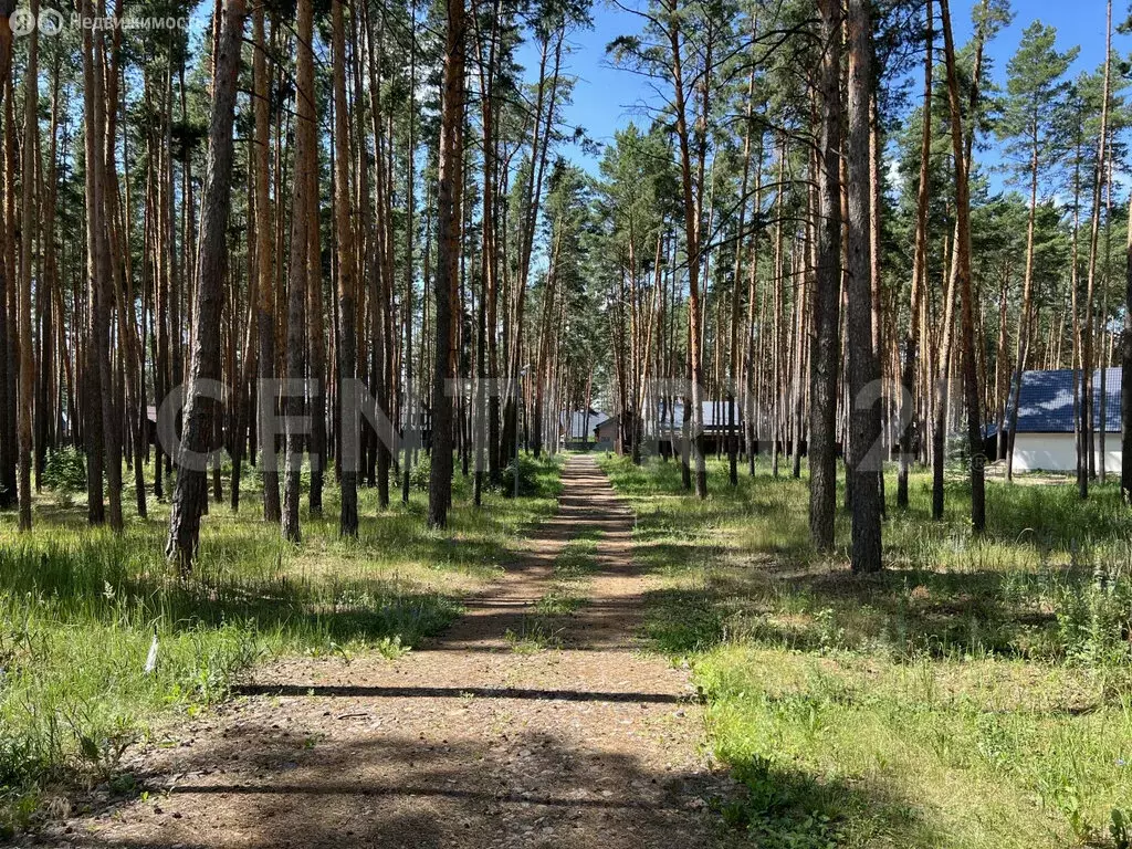 Участок в Грязинский район, Ярлуковский сельсовет, территория ... - Фото 1