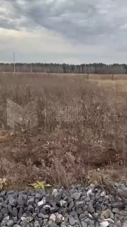 Участок в Свердловская область, Тугулымский муниципальный округ, с. ... - Фото 1