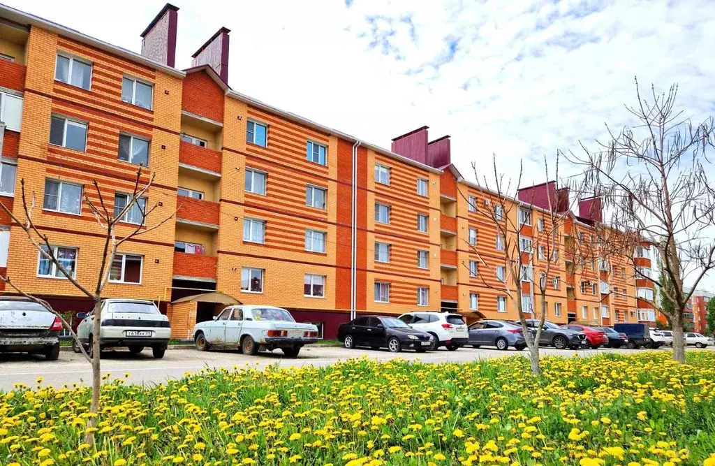 Помещение свободного назначения в Белгородская область, Строитель ... - Фото 1
