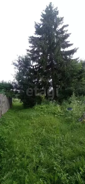 Участок в Всеволожский район, Щегловское сельское поселение, посёлок ... - Фото 1