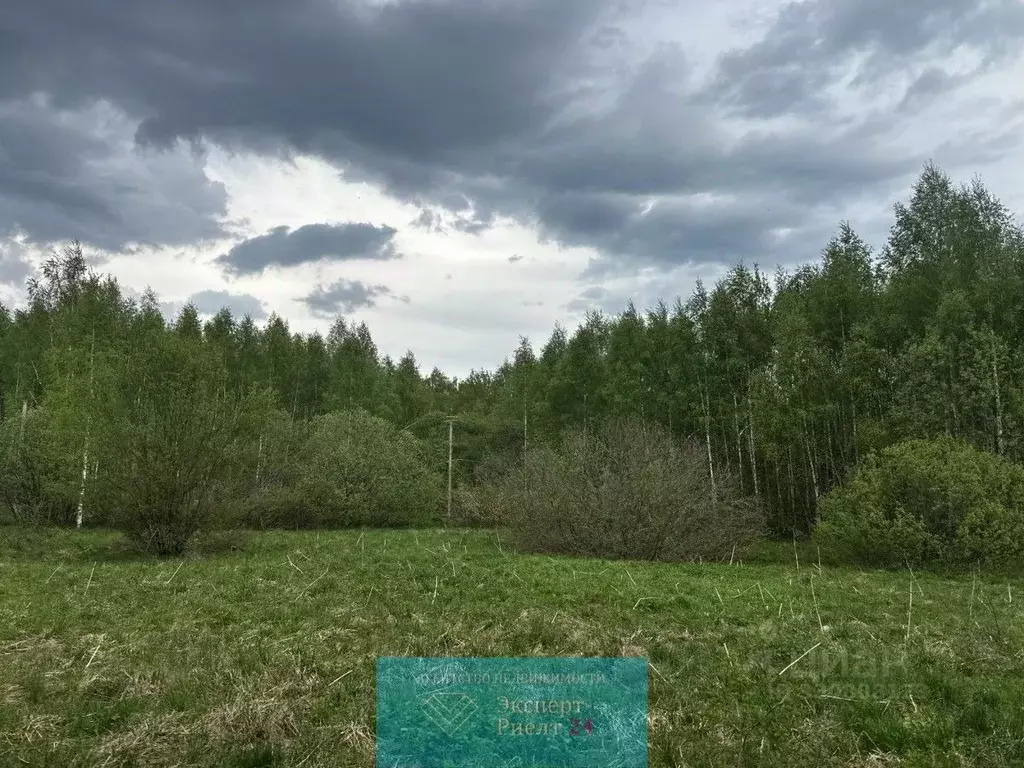 Участок в Московская область, Дмитровский муниципальный округ, д. ... - Фото 2