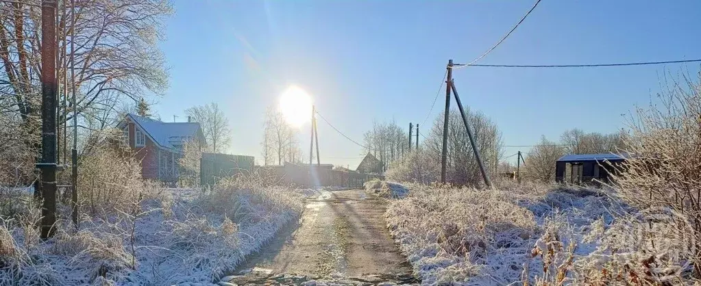 Участок в Ленинградская область, Выборгский район, Рощинское городское ... - Фото 0