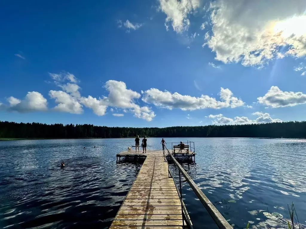 Участок в Ленинградская область, Выборгский район, Рощинское городское ... - Фото 1