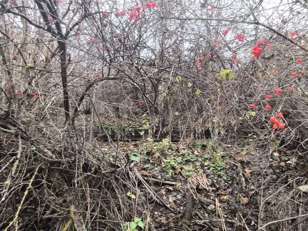 Участок в Татарстан, Набережные Челны Кама СНТ, 353 (4.44 сот.) - Фото 1