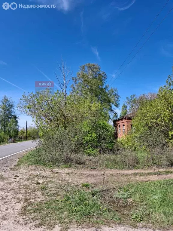 Участок в деревня Ужалье, Новая улица (23 м) - Фото 1