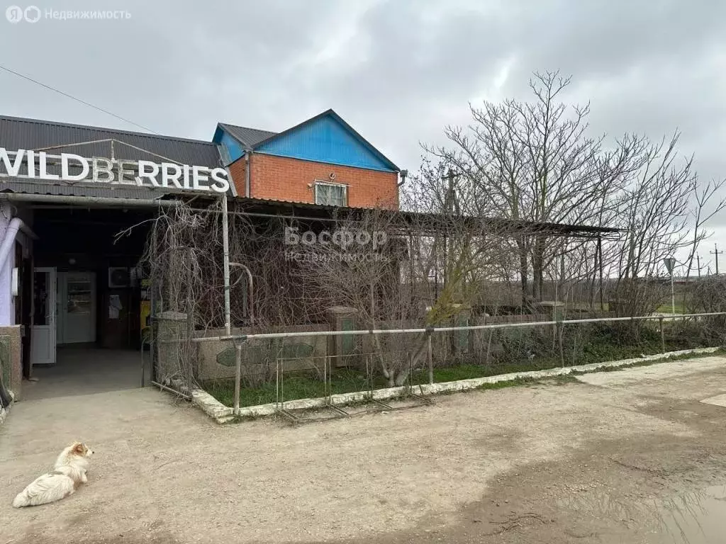 Торговая площадь (350 м) - Фото 2