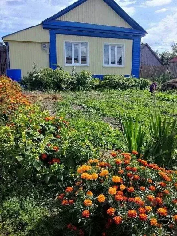 Дом в Пензенская область, Шемышейка пгт ул. Ленина, 50 (37 м) - Фото 1