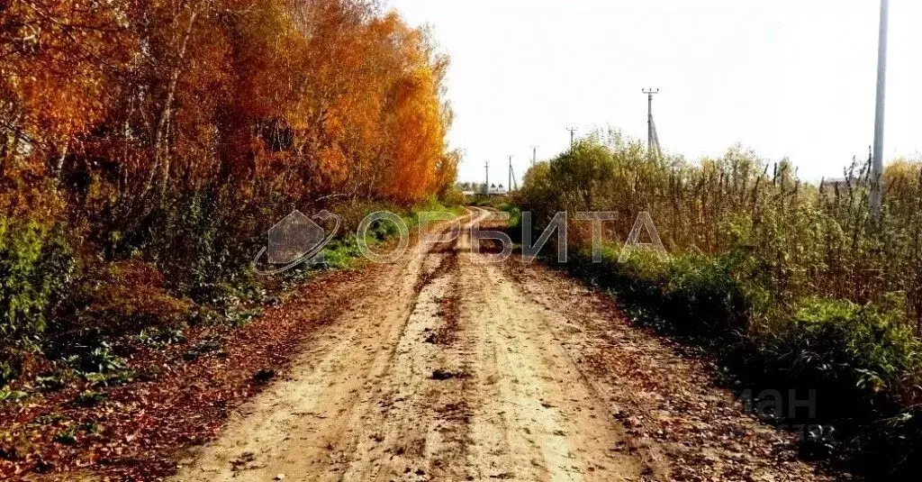 Участок в Тюменская область, Тюмень Поле Чудес садовое товарищество, ... - Фото 1