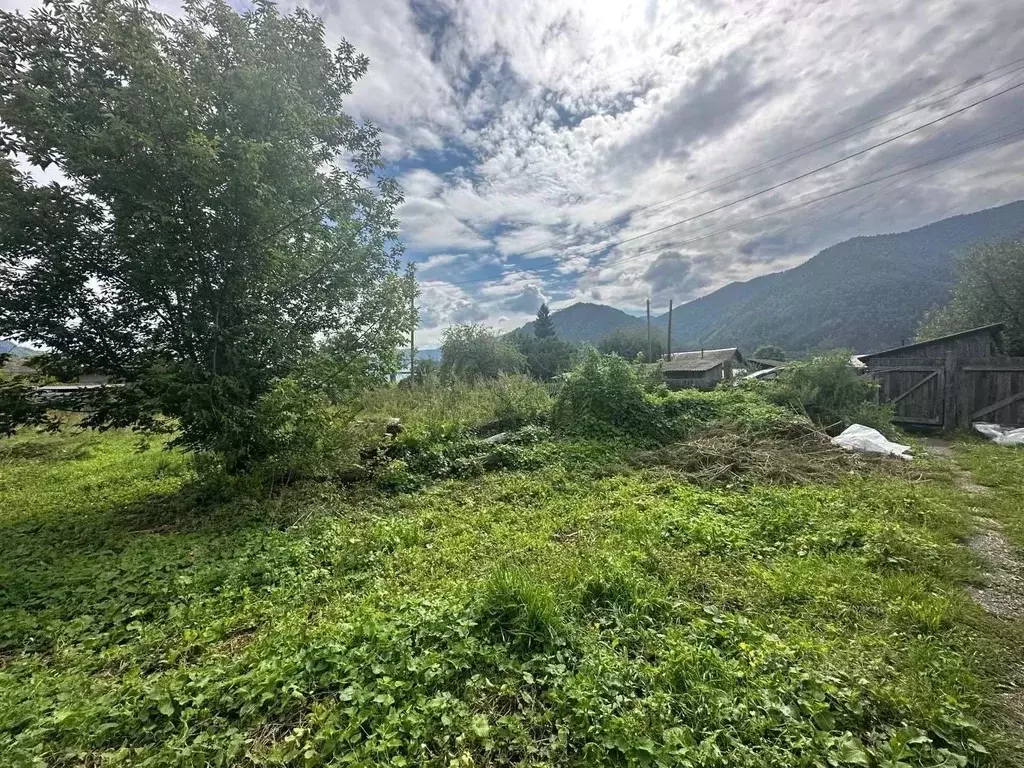 Дом в Алтай, Чемальский район, с. Чемал ул. Энтузиастов, 6 (52 м) - Фото 2