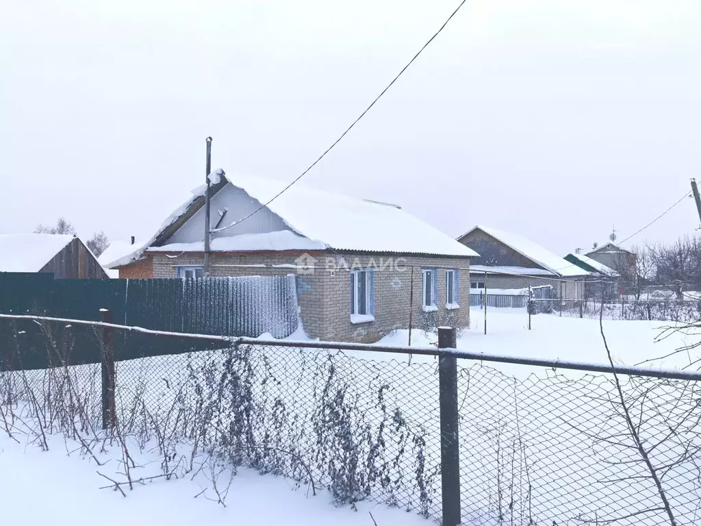 Дом в Пензенская область, Лунино рп ул. Колхозная, 46 (100 м) - Фото 1