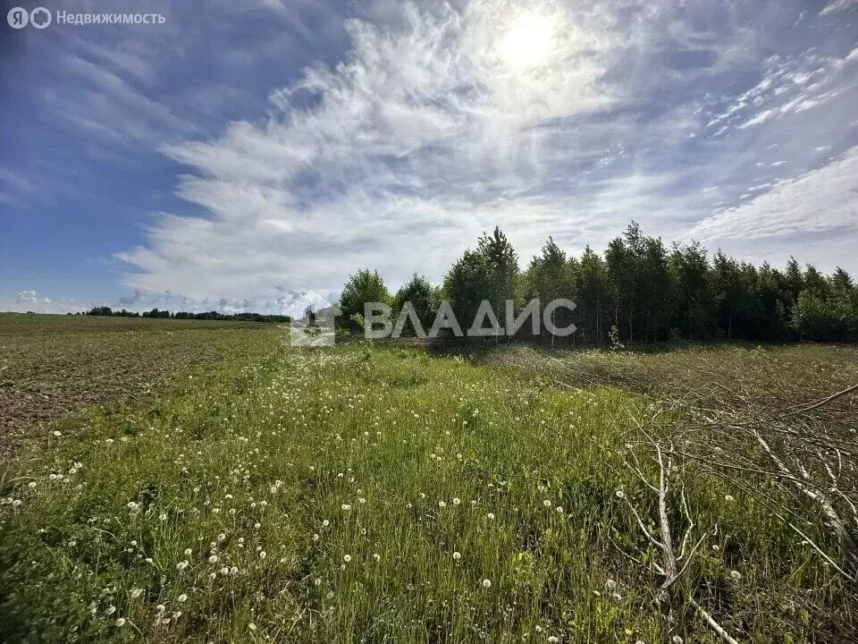 Участок в деревня Русский Кукмор, Полевая улица, 14 (9.1 м) - Фото 2