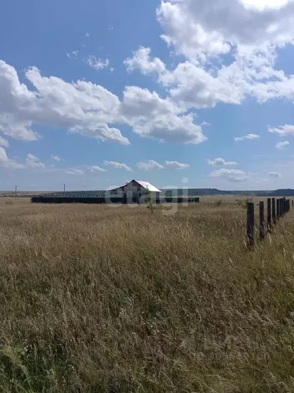 Участок в Хакасия, Алтайский район, с. Белый Яр ул. Некрасова (13.5 ... - Фото 0