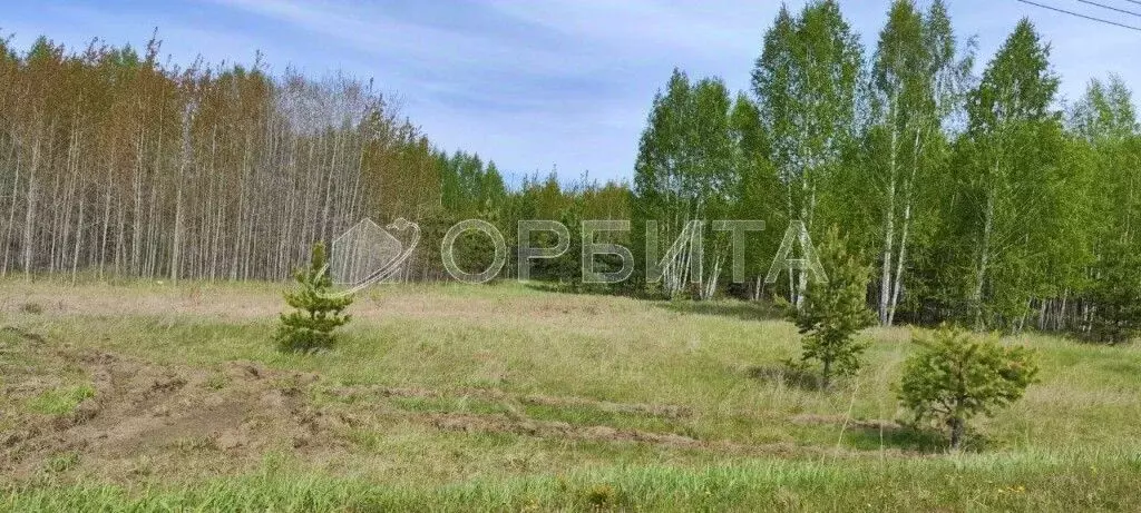 участок в тюменская область, нижнетавдинский район, с. тюнево (7.0 . - Фото 0