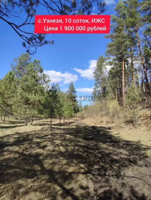Участок в Алтай, Чемальский район, Узнезинское с/пос, с. Узнезя  (10.0 ... - Фото 1