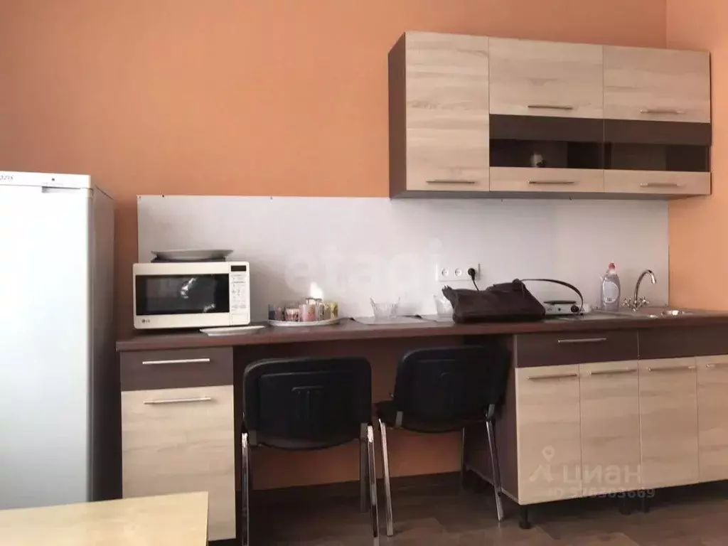 Студия Новосибирская область, Новосибирск Красный просп., 59 (20.0 м) - Фото 2