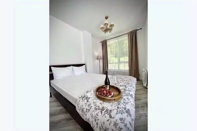 1-к кв. Краснодарский край, Сочи ул. Удачи, 14 (35.0 м) - Фото 0
