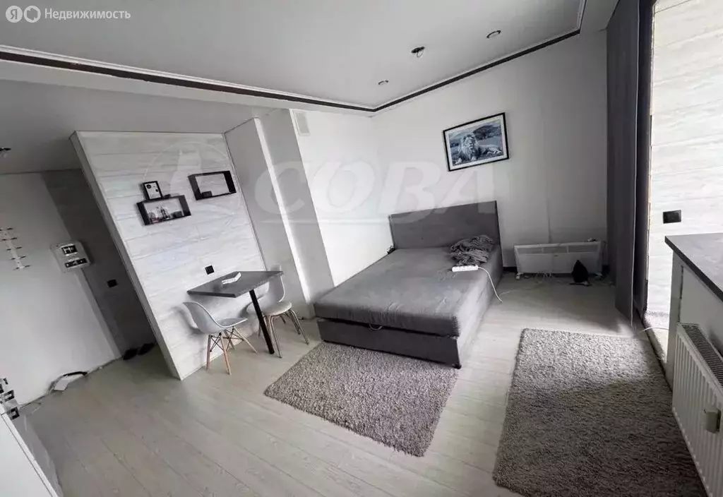 Квартира-студия: Тюмень, улица Новосёлов, 117 (29 м) - Фото 1