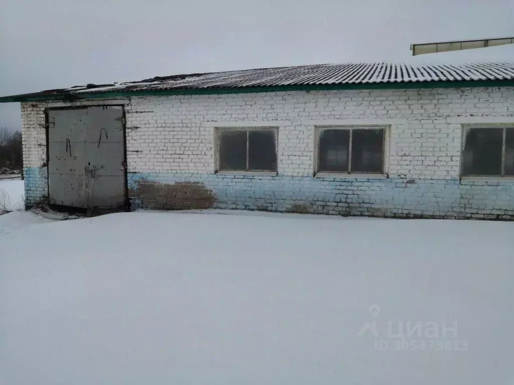 Помещение свободного назначения в Смоленская область, Шумячский ... - Фото 1