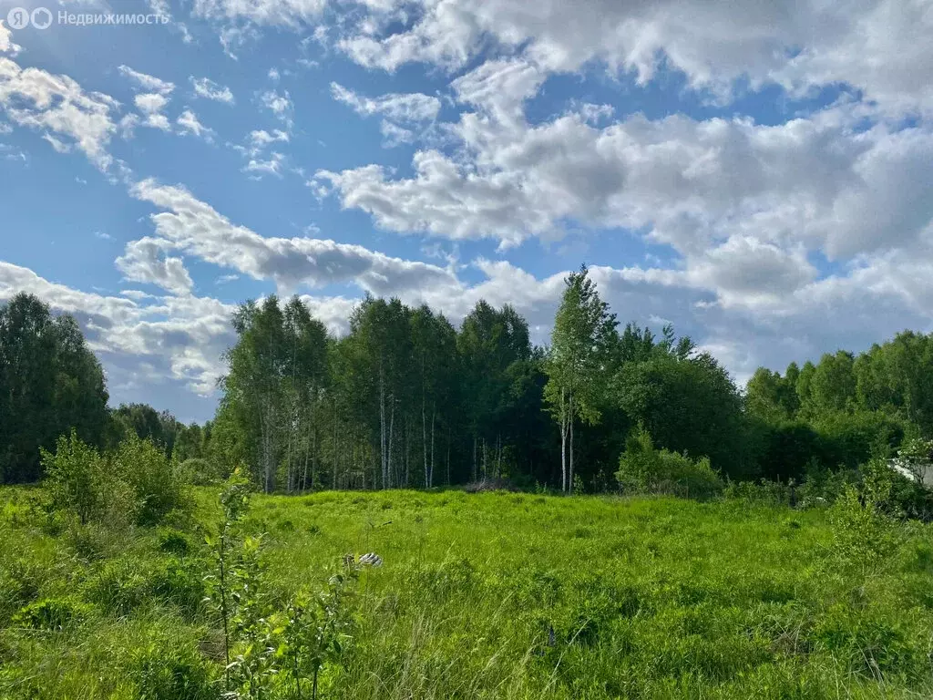 Дом в Нижегородская область, муниципальный округ Бор, деревня Селищи ... - Фото 1