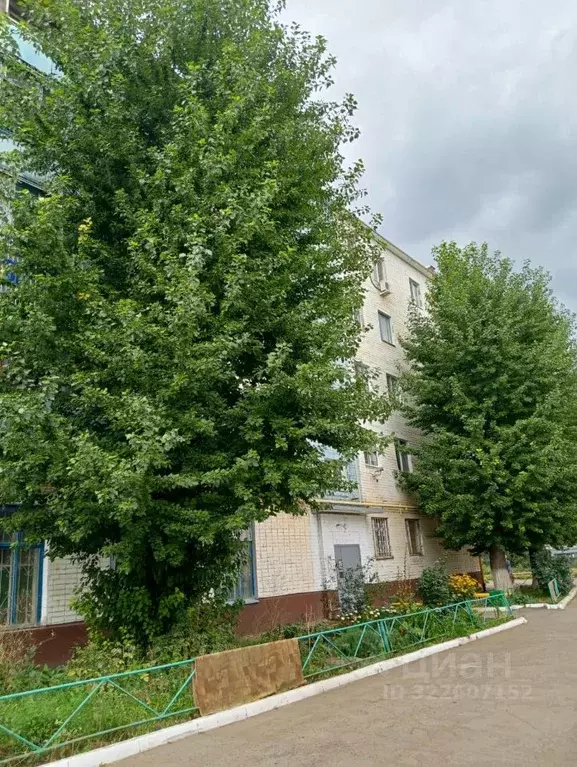 1-к кв. Оренбургская область, Оренбург просп. Братьев Коростелевых, 62 ... - Фото 1