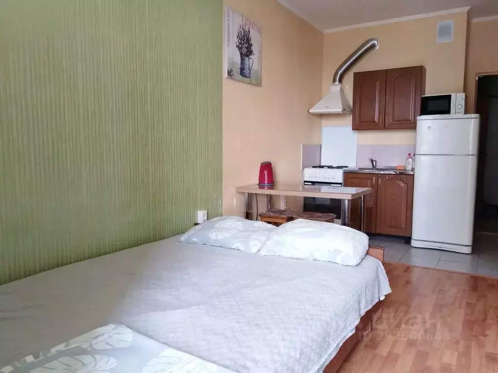 Студия Ростовская область, Батайск ул. Крупской, 1к1 (23.0 м) - Фото 2