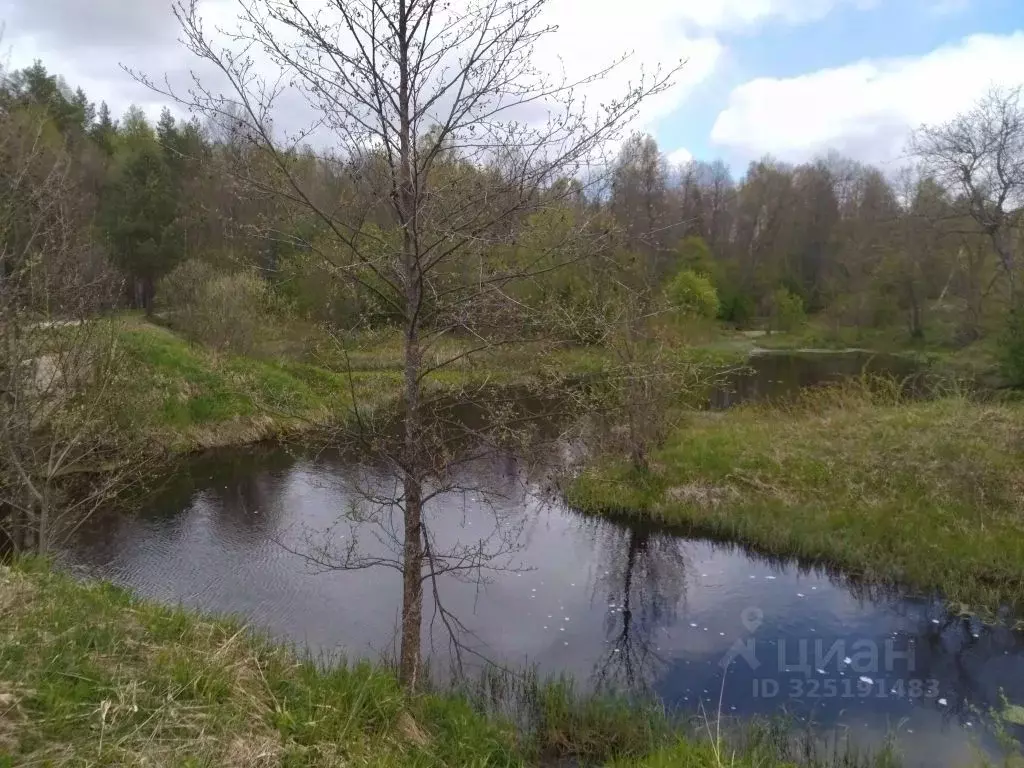 Дом в Ивановская область, Гаврилово-Посадский район, Петровское ... - Фото 1