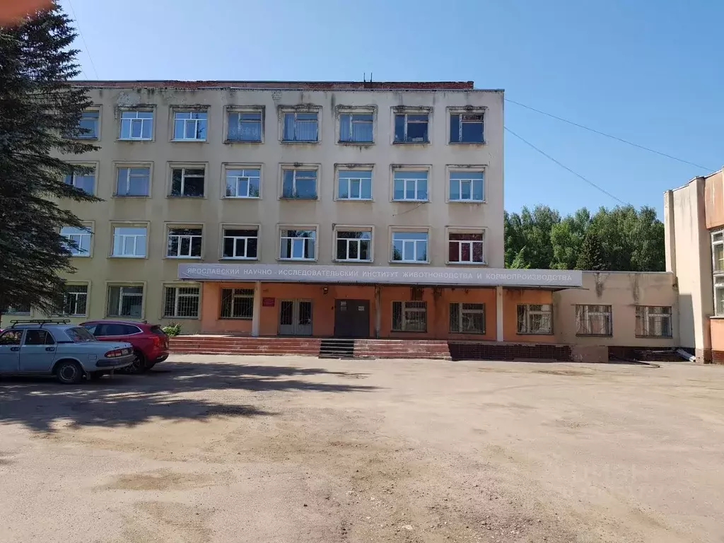 Помещение свободного назначения в Ярославская область, Ярославский ... - Фото 1