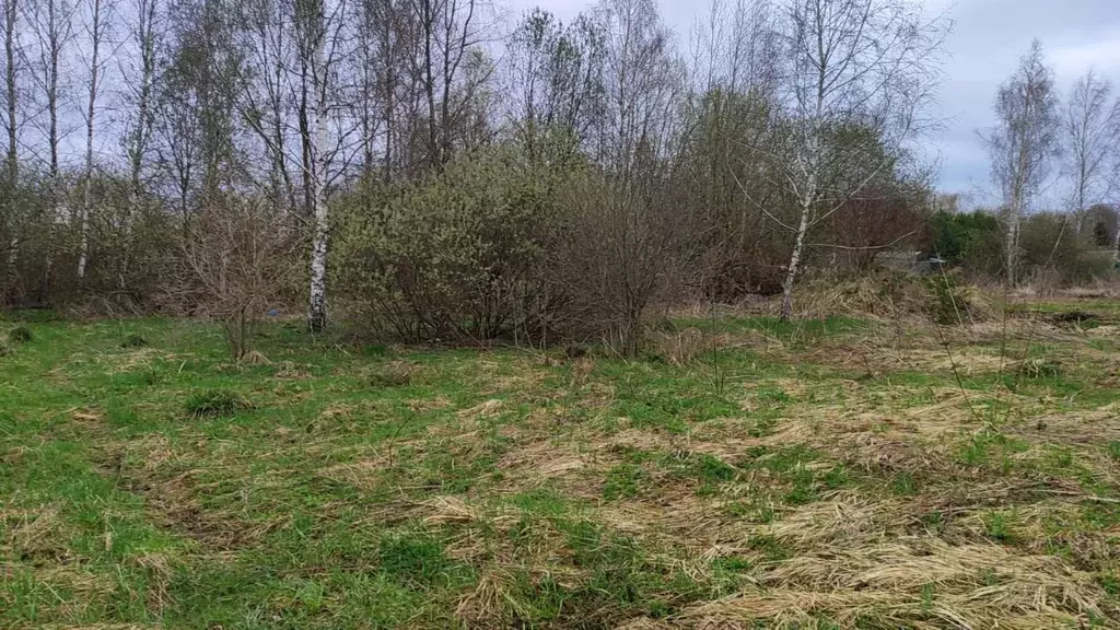 Участок в Московская область, Домодедово городской округ, д. Борисово ... - Фото 1