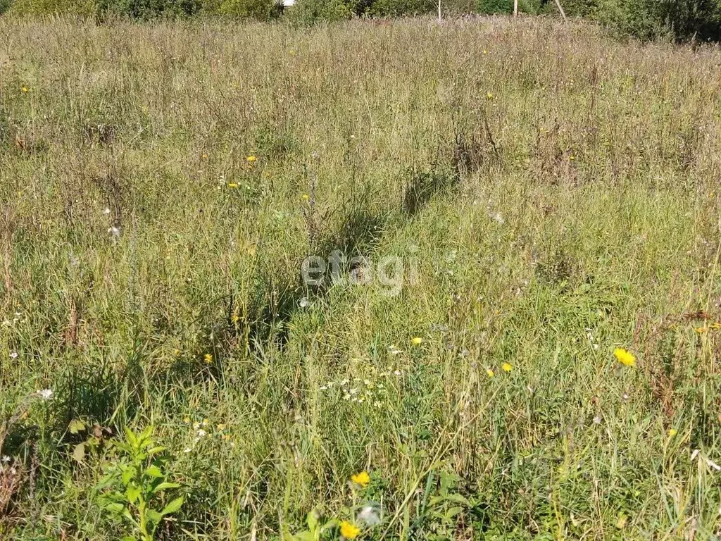 Участок в Калужская область, Дзержинский район, Совхоз Чкаловский ... - Фото 1