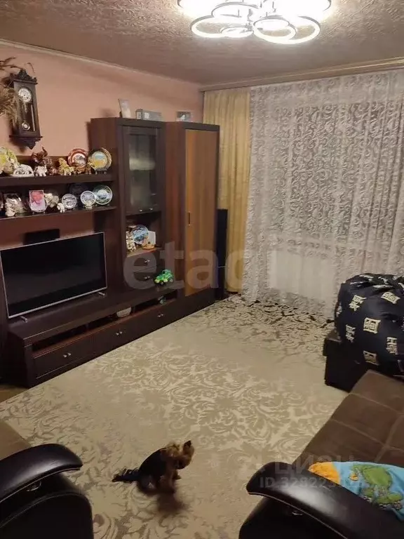 3-к кв. Калужская область, Бабынинский муниципальный округ, Утешево ... - Фото 2