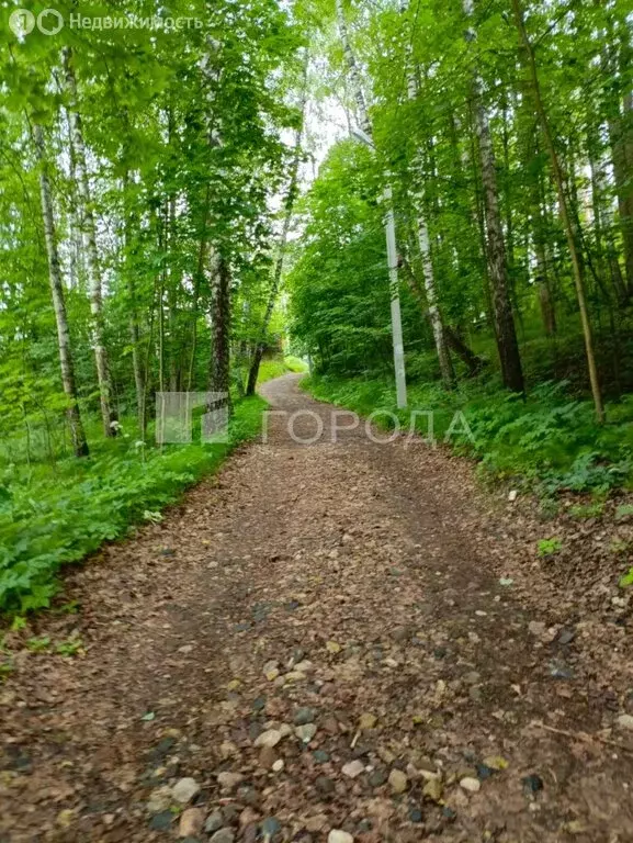 Участок в рабочий посёлок Деденево, Горная улица (17 м) - Фото 1