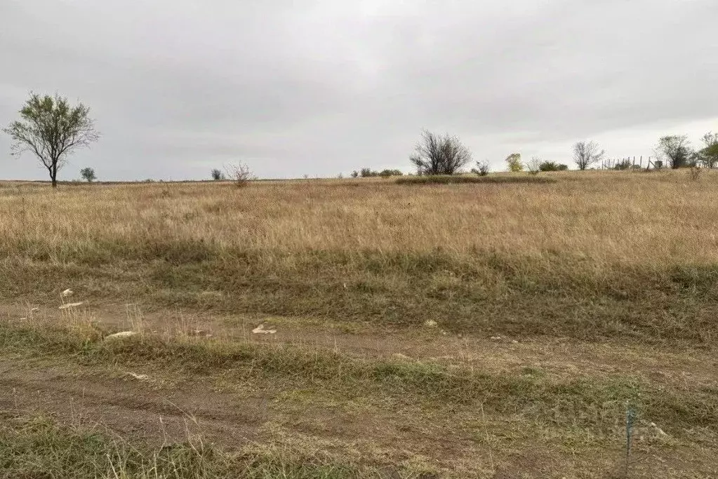 Участок в Крым, Симферопольский район, Трудовское с/пос, Уют-СВВПСУ ... - Фото 2